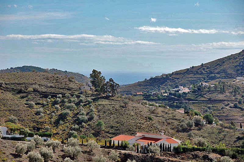 Los Dos Algarrobos - Alrededores